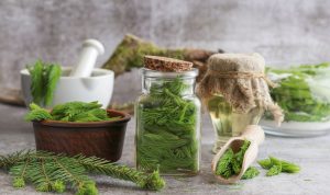 Еликсир на младостта – пречиства кръвоносните съдове, черния дроб и червата