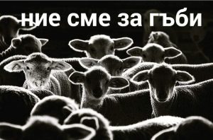 Веселина Томова: Мачът във Варна е свирен и нареден!