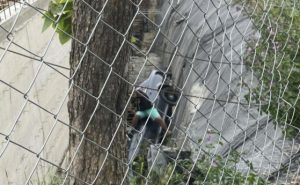 Шофьор уби пешеходец и падна в изкоп на строеж във Варна