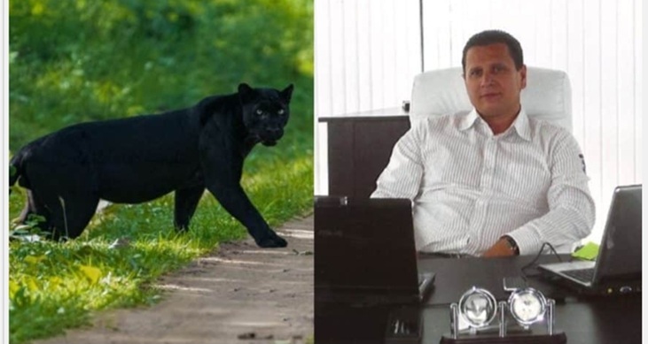 Ето го собственика на черната пантера!