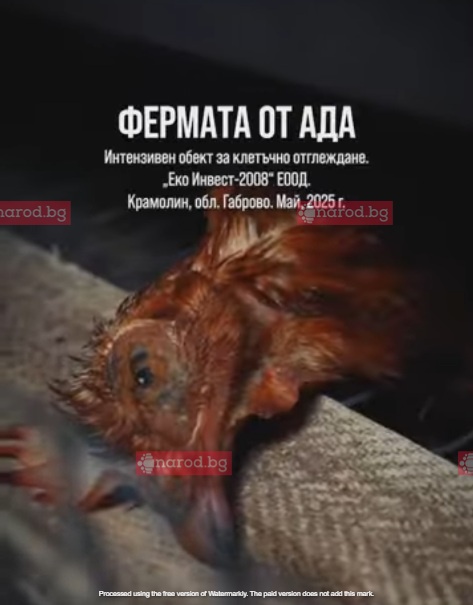 Затворете „Фермата на Ада“ – канибализъм, плъхове и изпражнения (СНИМКИ + ВИДЕА)