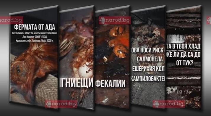 С помощ от Narod.bg: „Фермата на ада“ затваря!