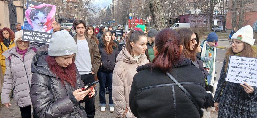 Секс и зверства засекретяват процеса срещу мъчителите на животни