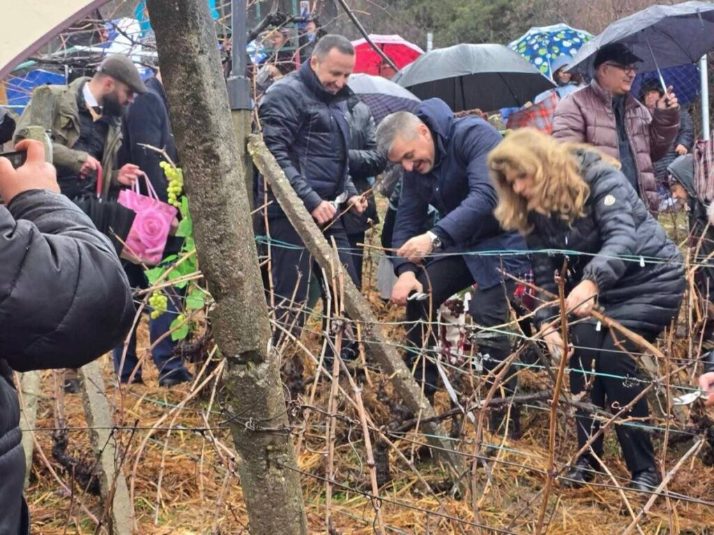 Лобито на Пеевски и Кирил Добрев в БСП – Ново начало отчаяно ухажва президента Илияна Йотова, за да назначи техен служебен премиер!
