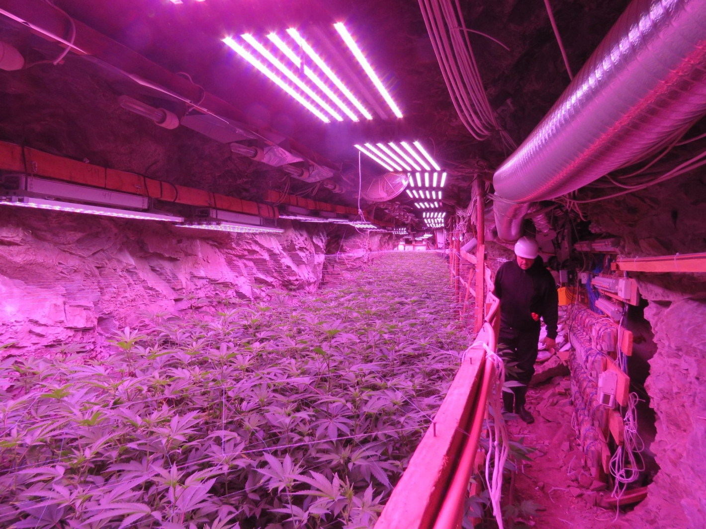 Вижте „подземния град“ за отглеждане на канабис в мина край Кюстендил (видео/снимки)