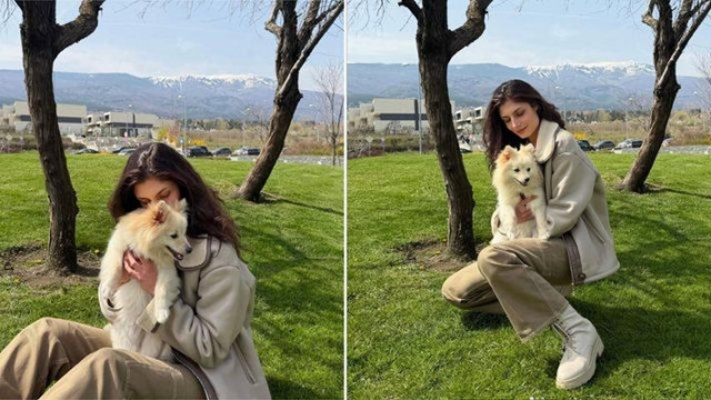 За пример! Актриса от сериала „Ком – Емине“ спаси куче без шанс за оцеляване