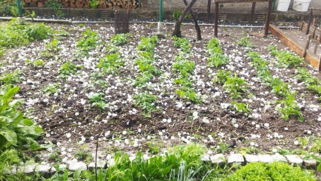 Поройни дъждове и градушки удариха страната, мълния запали къща (снимки/видео)