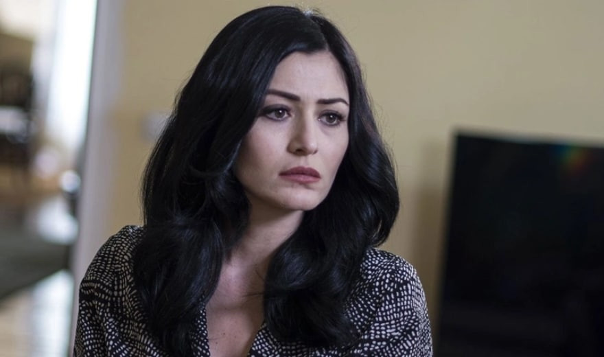 Ферхундето предизвиква сърцебиене в нов сериал